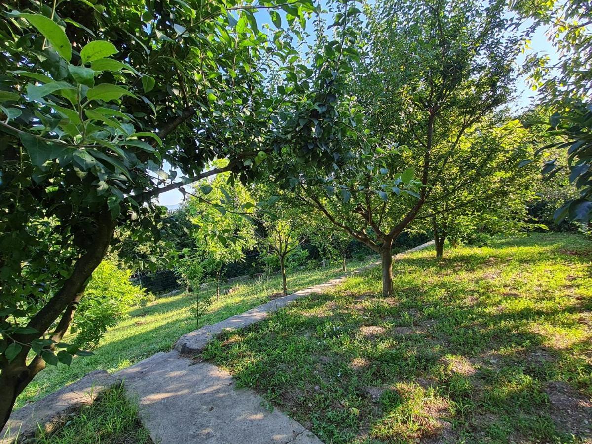 Bizim Ev Villa Sapanca Kültér fotó