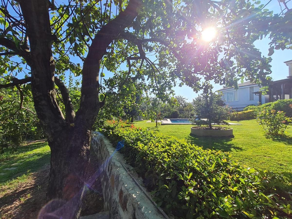 Bizim Ev Villa Sapanca Kültér fotó